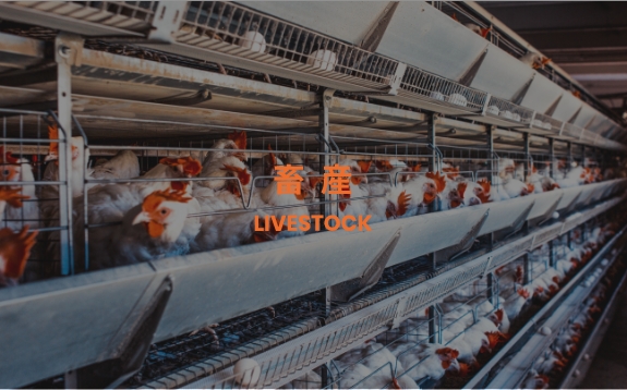畜 産