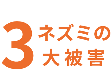 ネズミの3大被害